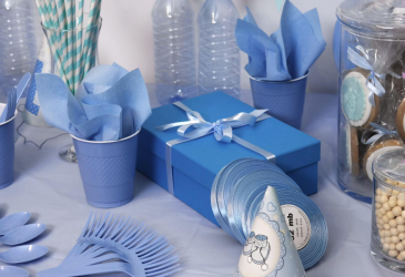 BABY SHOWER 2